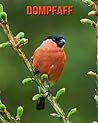 Dompfaff: Sagenhafte Fotos & Buch mit lustigem Wissen �ber Dompfaff f�r Kinder