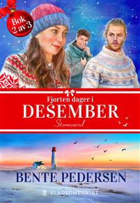 Stormvarsel (Fjorten dager i desember #2)