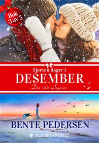 Den siste julegaven (Fjorten dager i desember #3)