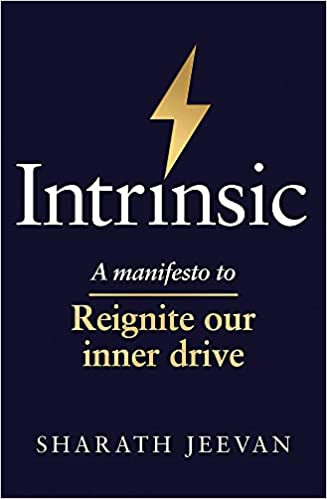 Intrinsic: A manifesto to reignite our inner drive