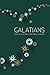 Galatians: At His Feet Studies