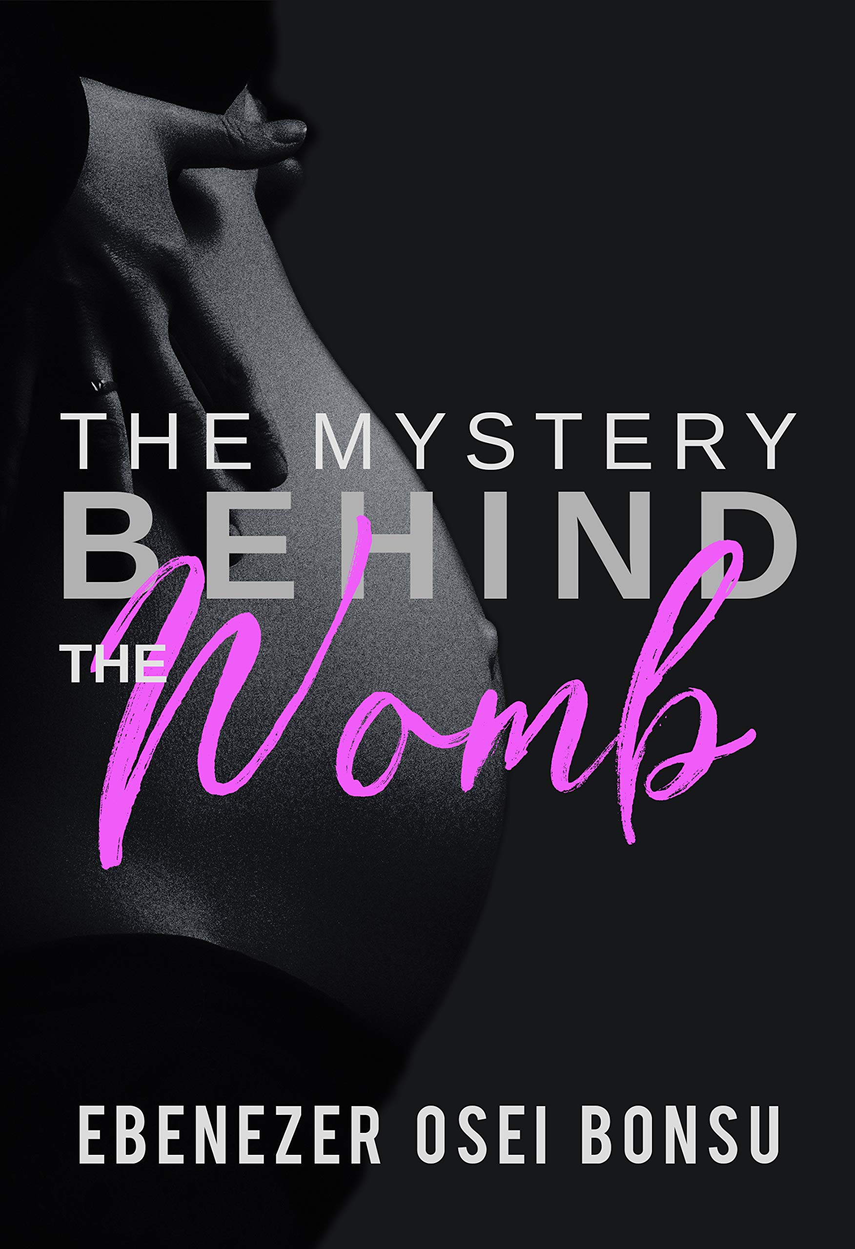 Mystery Behind the Womb (Kindle Edition)