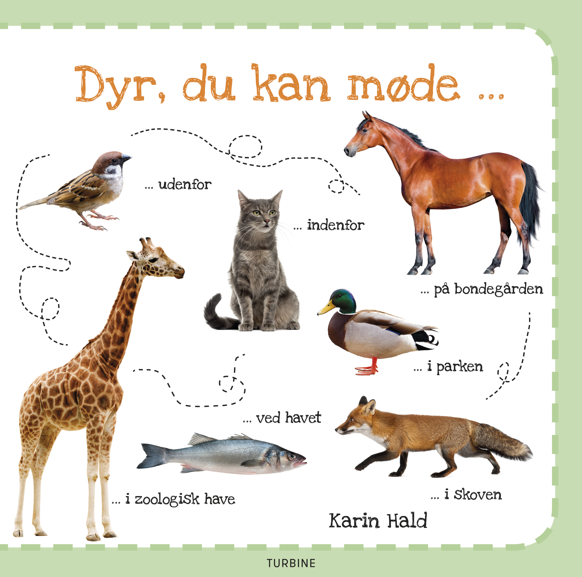 Dyr, du kan møde