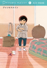 Princess Maison, vol. 4 (Paperback)