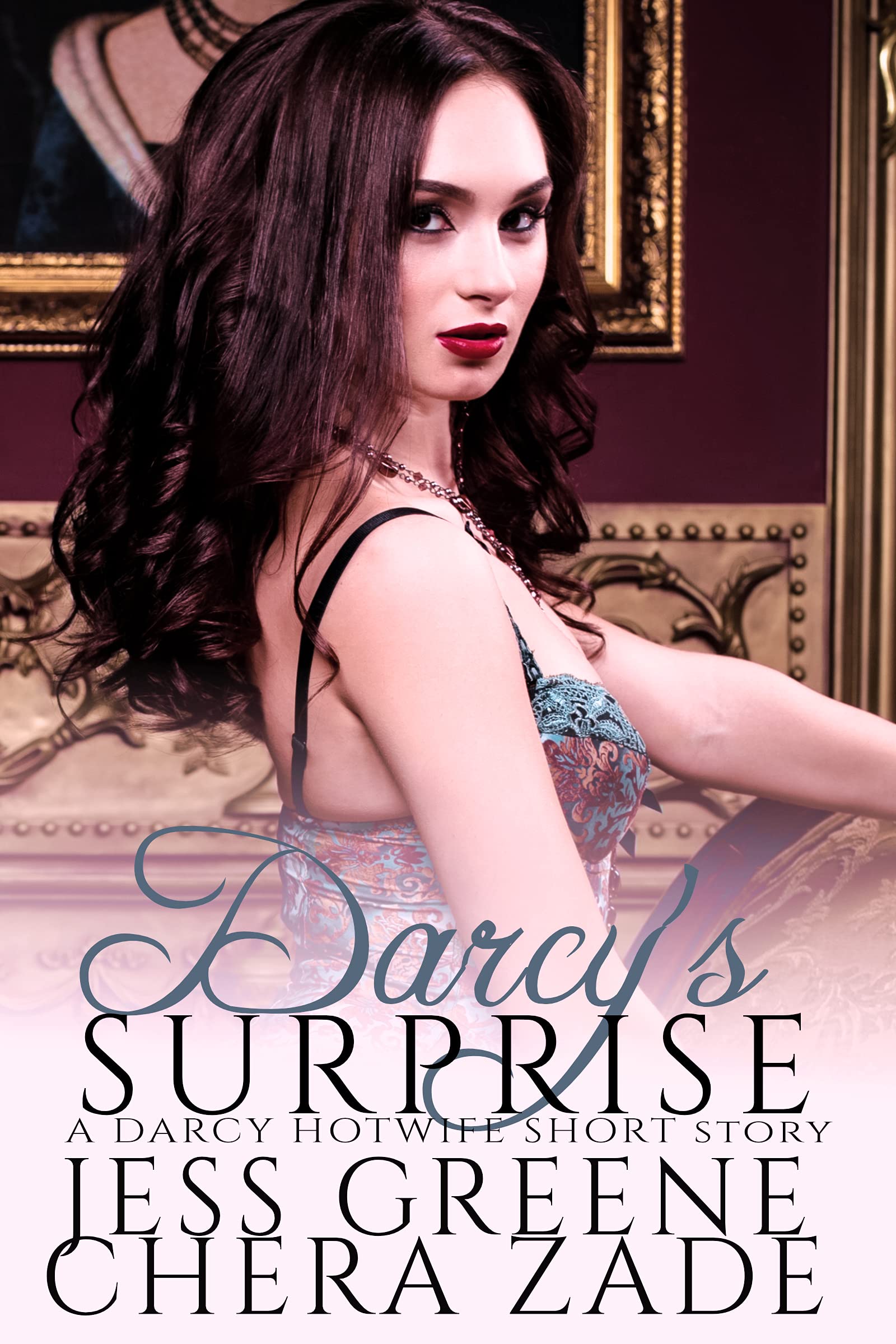 Darcy's Surprise: A Darcy Hotwife Short Story (Darcy Hotwife Series Book 3)