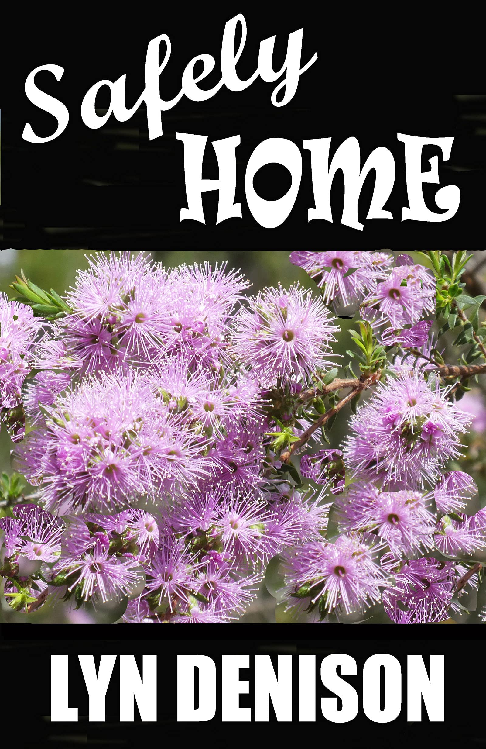 Safely Home (Kindle Edition)