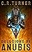 Delusions of Anubis by C.R.  Turner