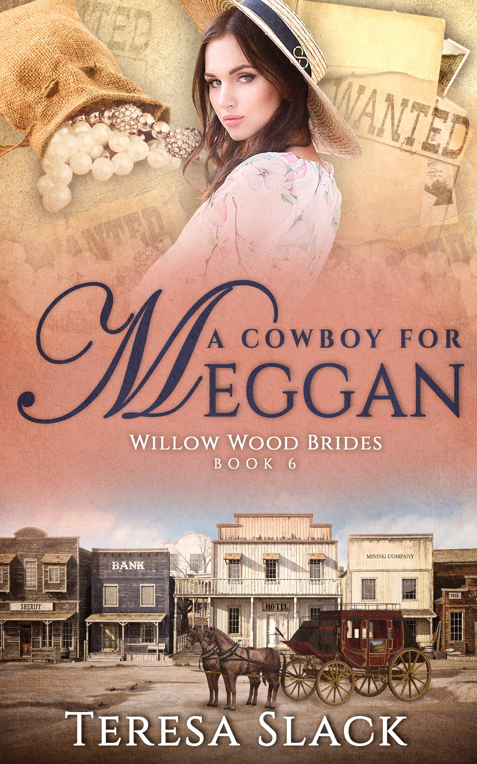 A Cowboy for Meggan (Willow Wood Brides #6)
