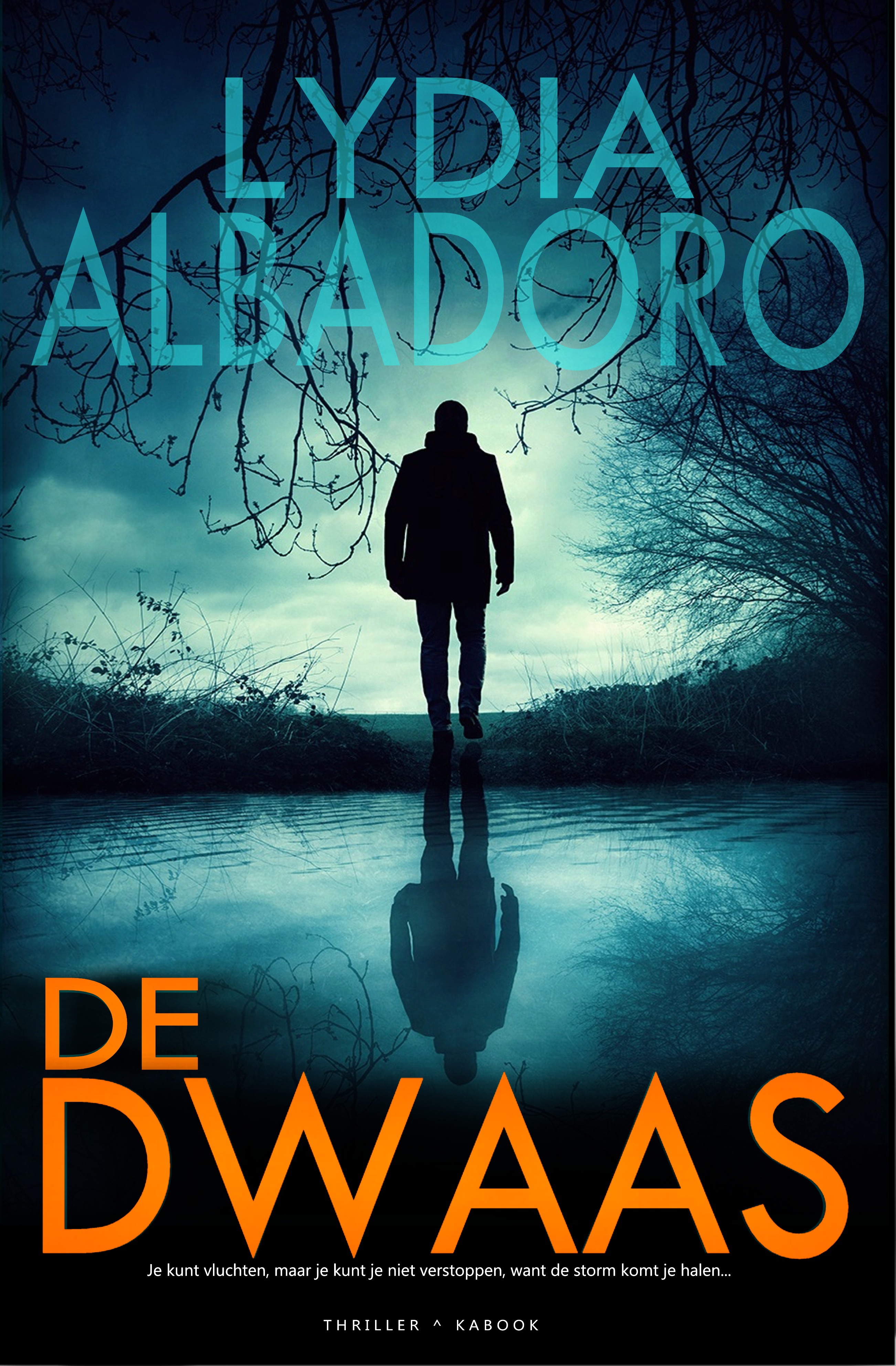 De dwaas (Paperback)