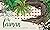 The Caiman