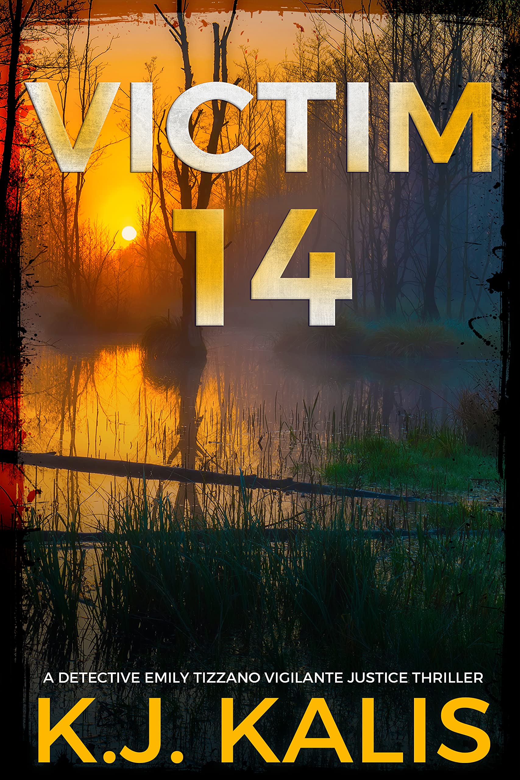 Victim 14 (Detective Emily Tizzano #3)