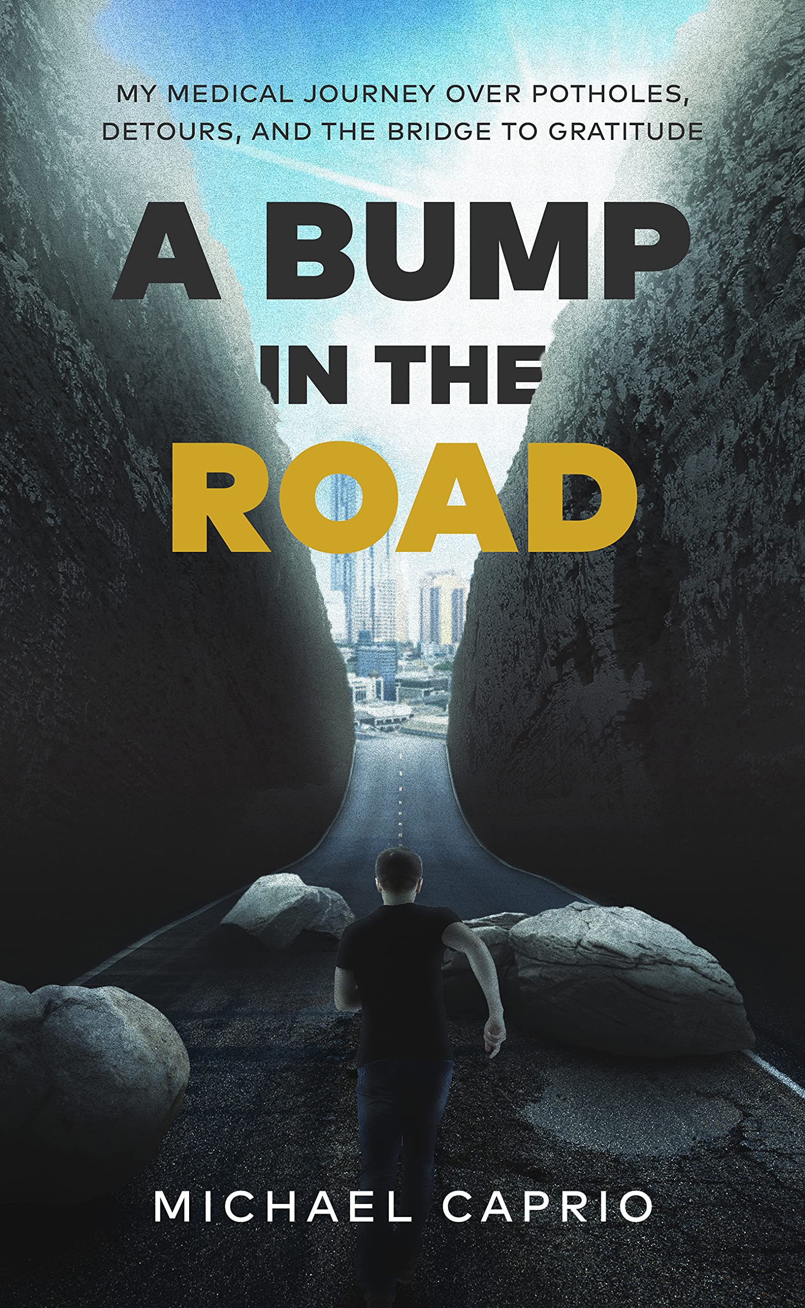 A Bump in the Road: My Medical Journey over Potholes, Detours and the Bridge to Gratitude (Kindle Edition)
