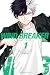 WIND BREAKER 1
