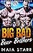 Big Bad Bear Brothers (Wido...