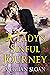 A Lady's Sinful Journey