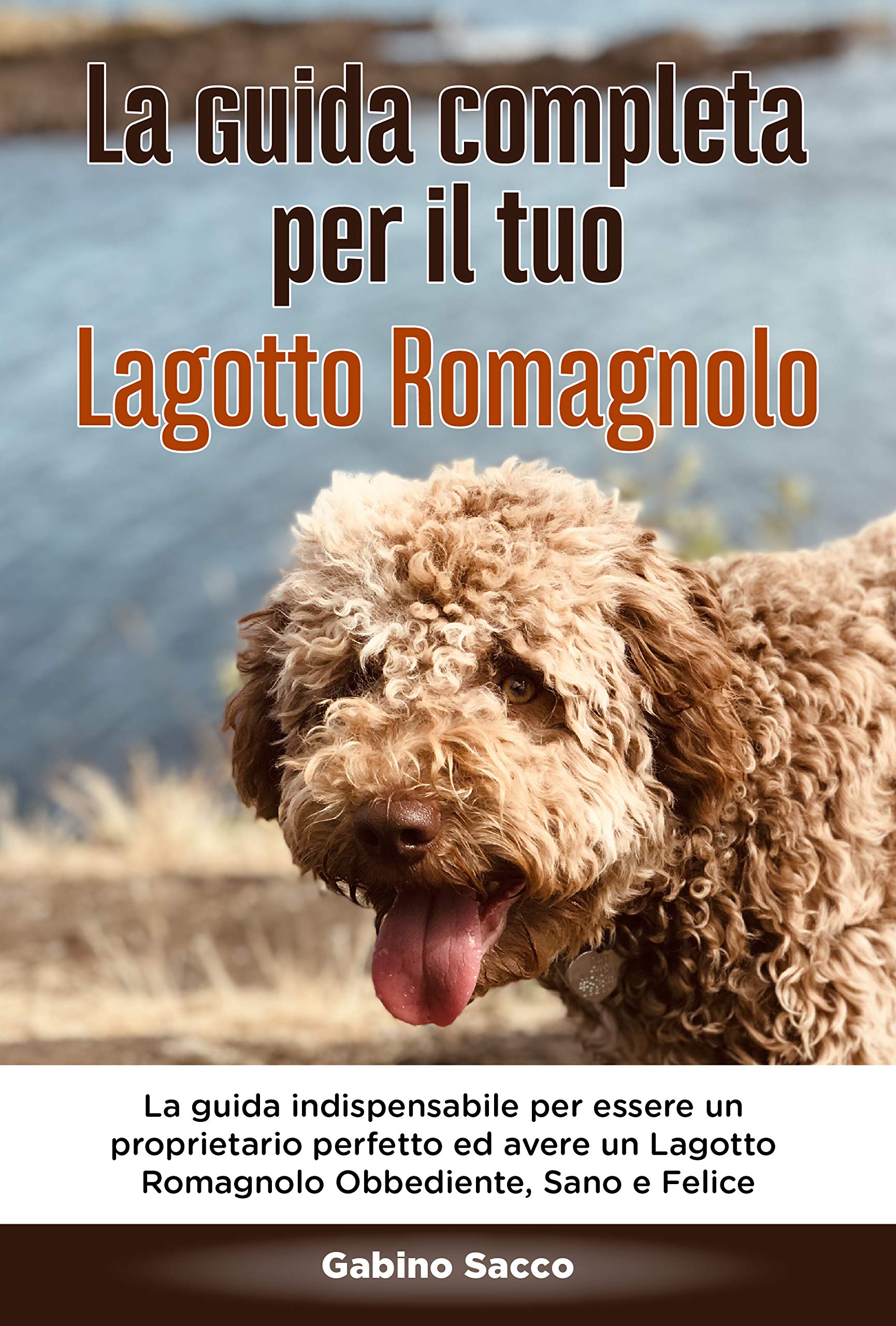 La Guida Completa per Il Tuo Lagotto Romagnolo: La guida indispensabile per essere un proprietario perfetto ed avere un Lagotto Romagnolo Obbediente, Sano ... un cane Vol. 1) (Italian Edition)
