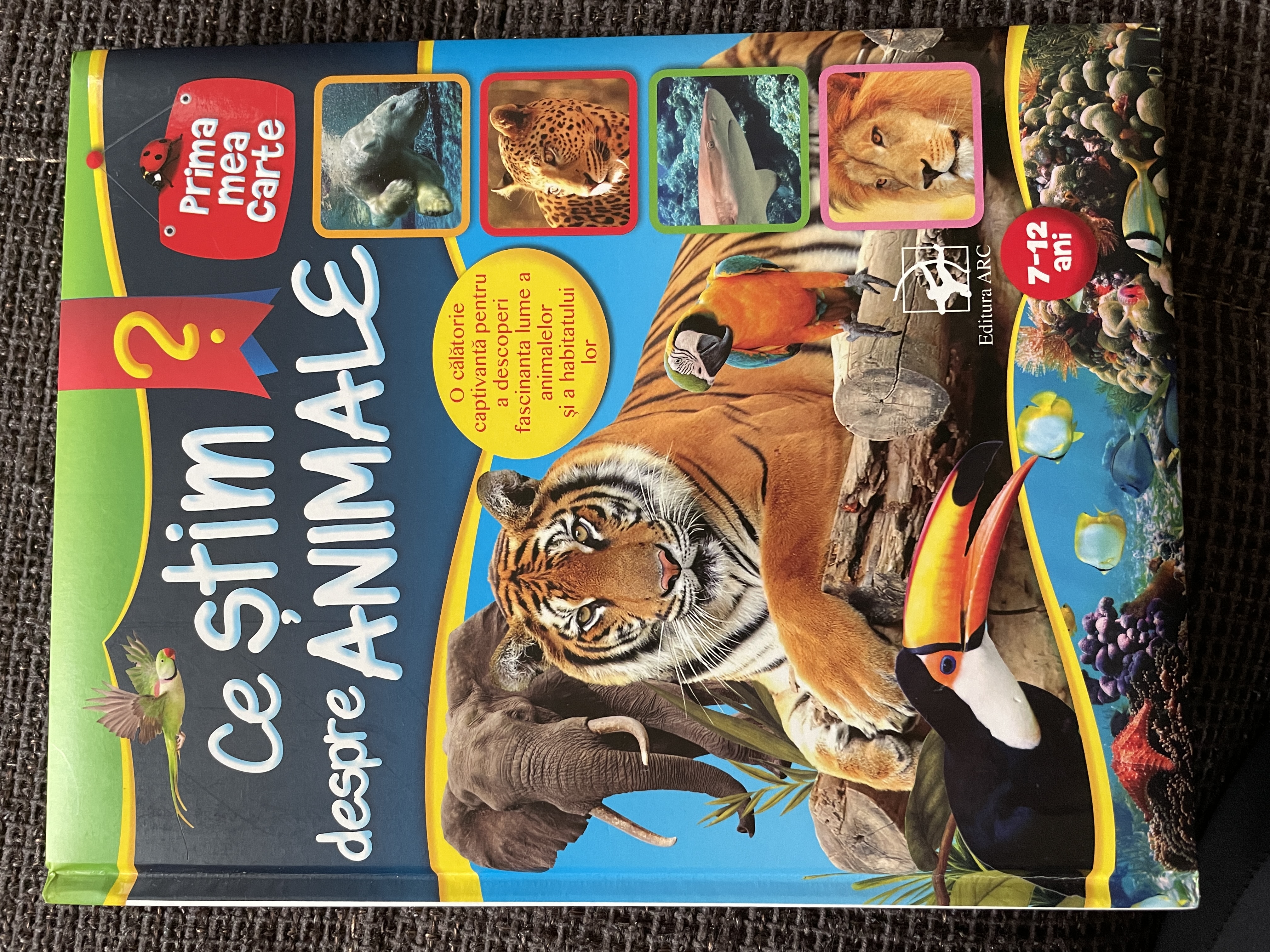 Ce stim despre animale