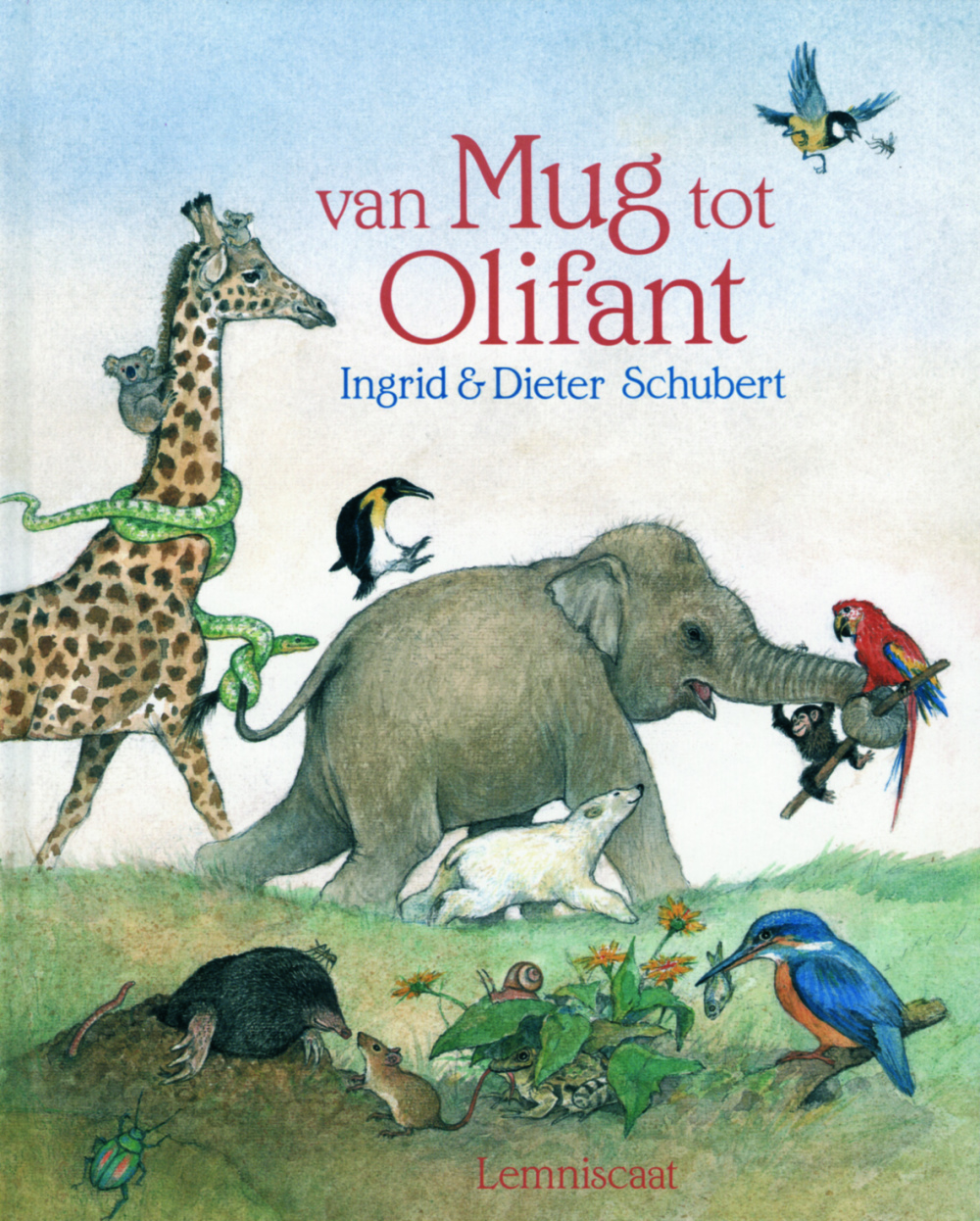 Van mug tot olifant (Hardcover)