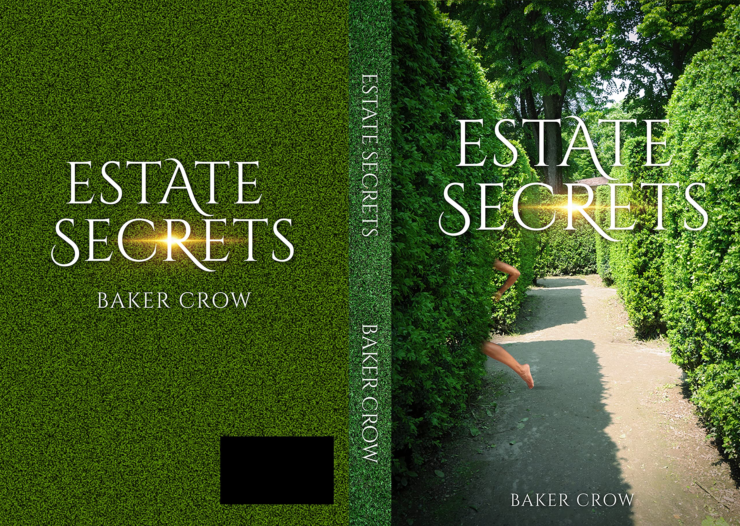 Estate Secrets (Kindle Edition)