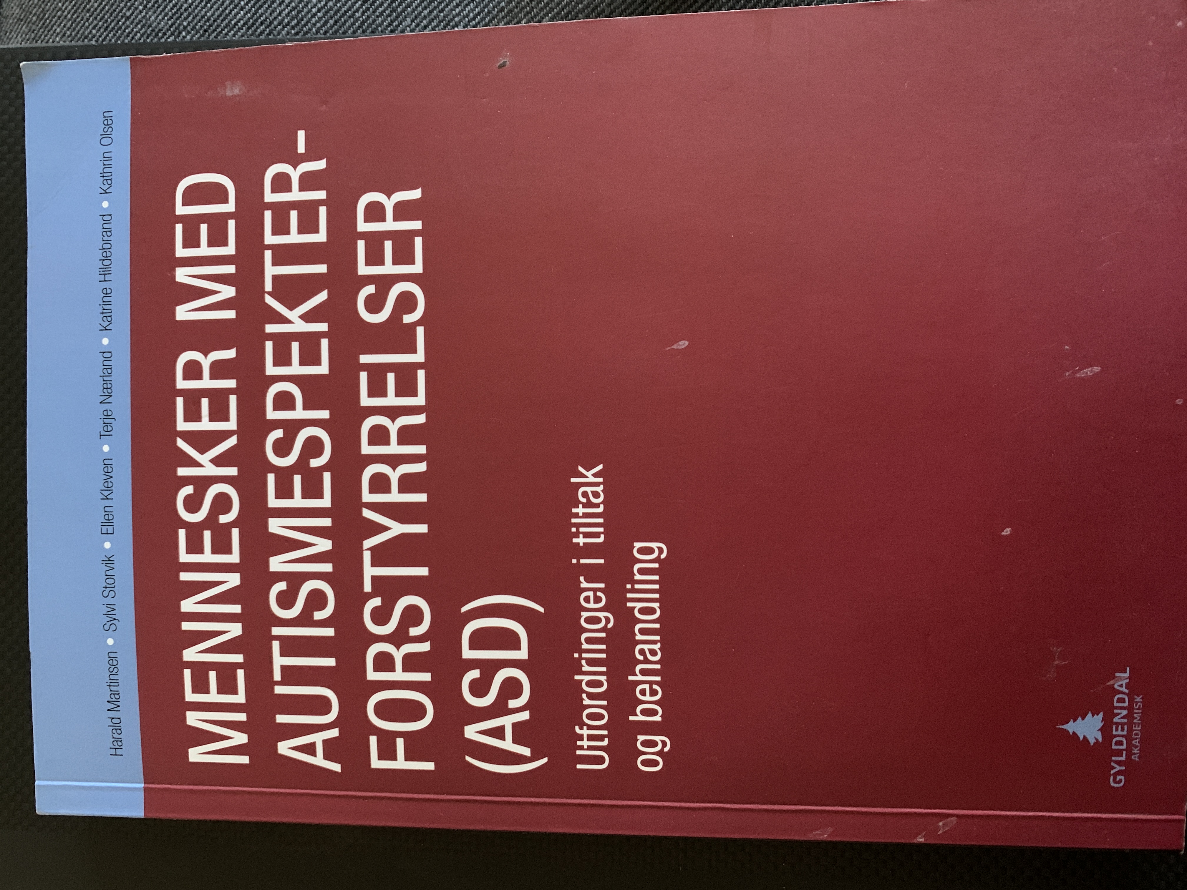 Mennesker med sutismespekterforstyrrelser(ASD) Utfordringer i tiltak og behandling
