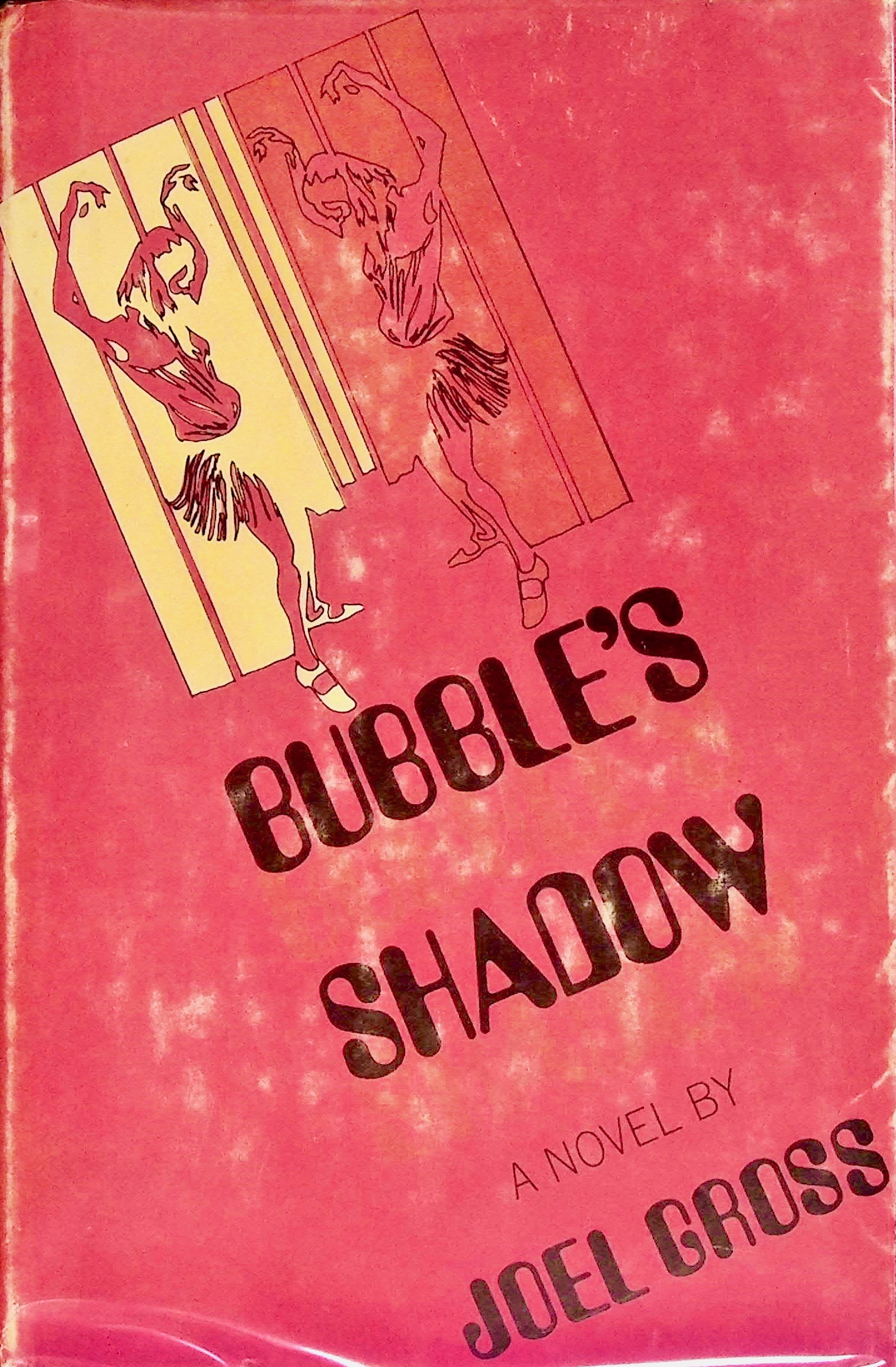 Bubble's Shadow (Hardcover)