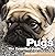 Pugs: The Essential Guide