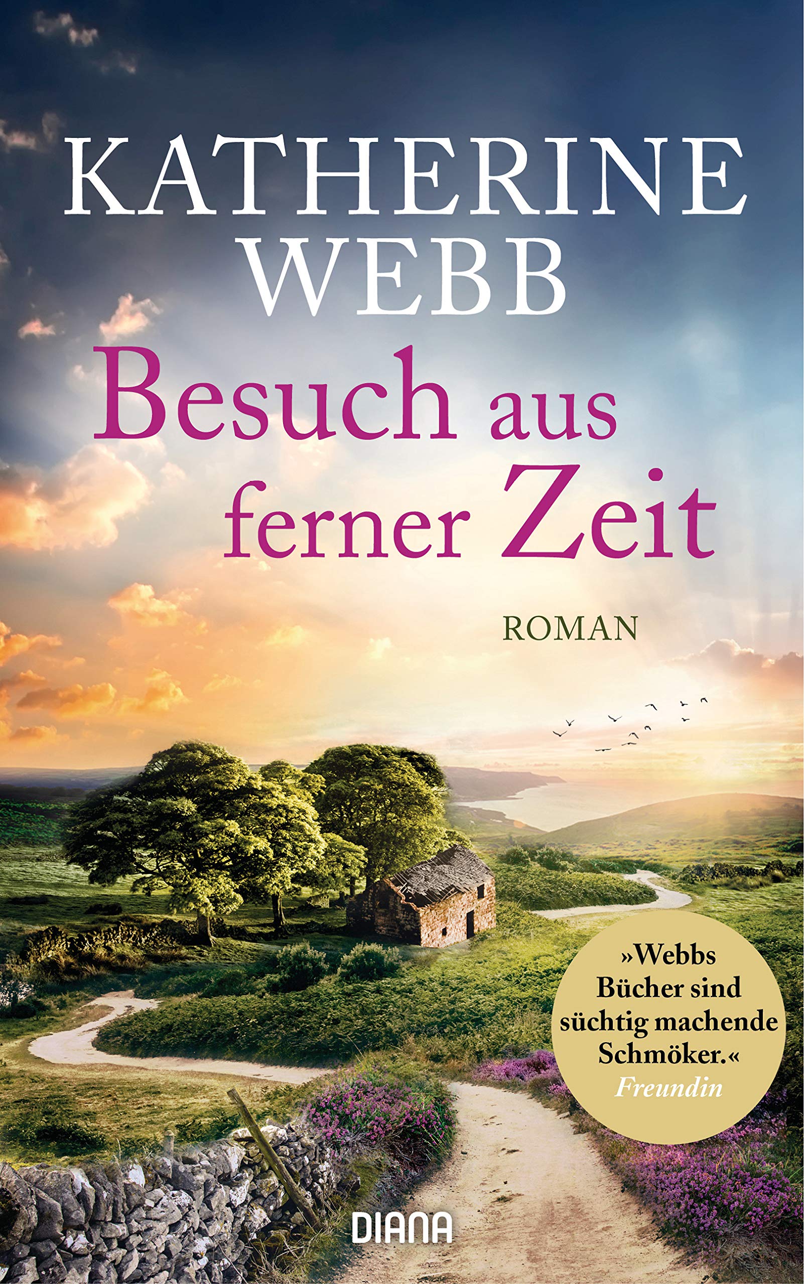 Besuch aus ferner Zeit (Kindle Edition)