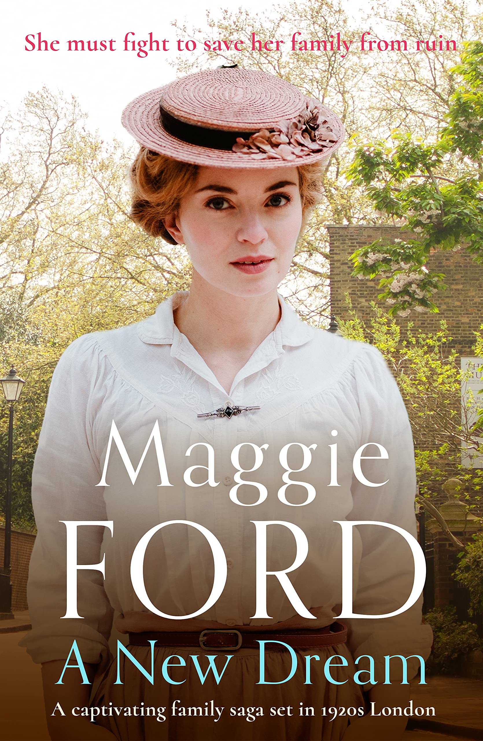 A New Dream (Kindle Edition)