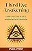 Third Eye Awakening by Emily Oddo
