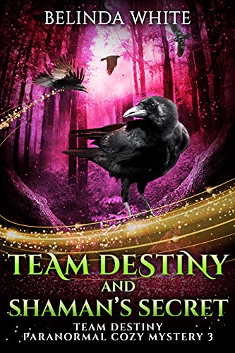 Team Destiny and Shaman's Secret (Team Destiny #3)