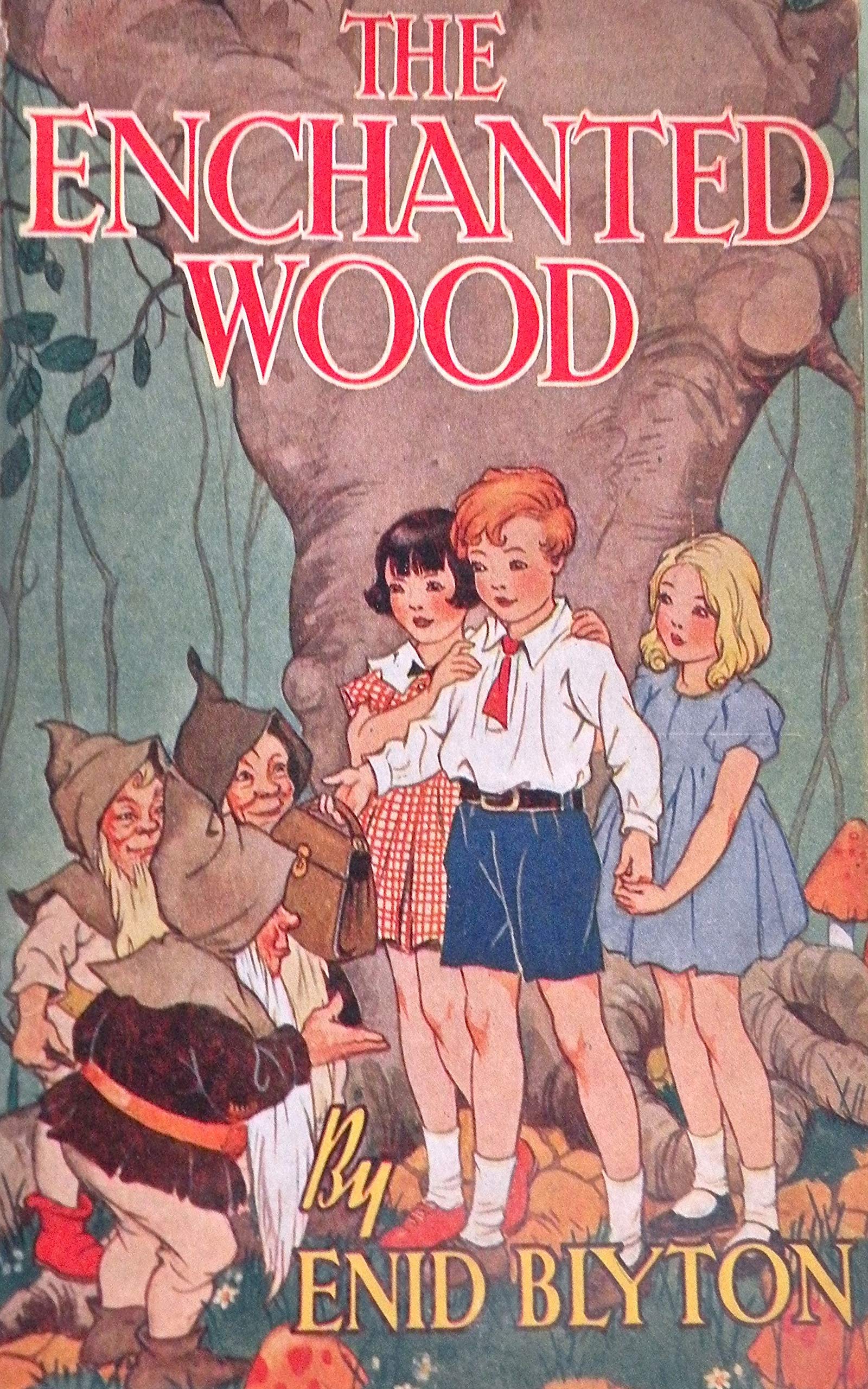 The Enchanted Wood: