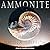Ammonite
