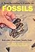 A Beachcomber's Guide to Fossils by Bob Gale