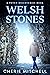 Welsh Stones: A Toven Discoveries Book (Toven Discoveries Series 3)
