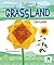 Easy Grassland Origami