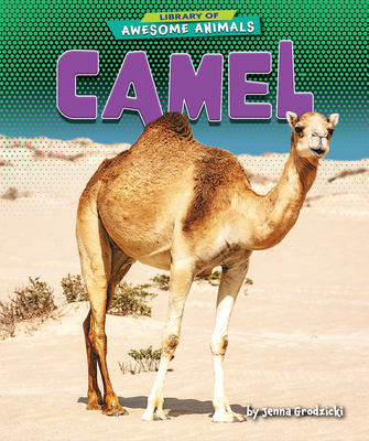 Camel (Library of Awesome Animals Set Two)