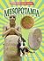 Mesopotamia