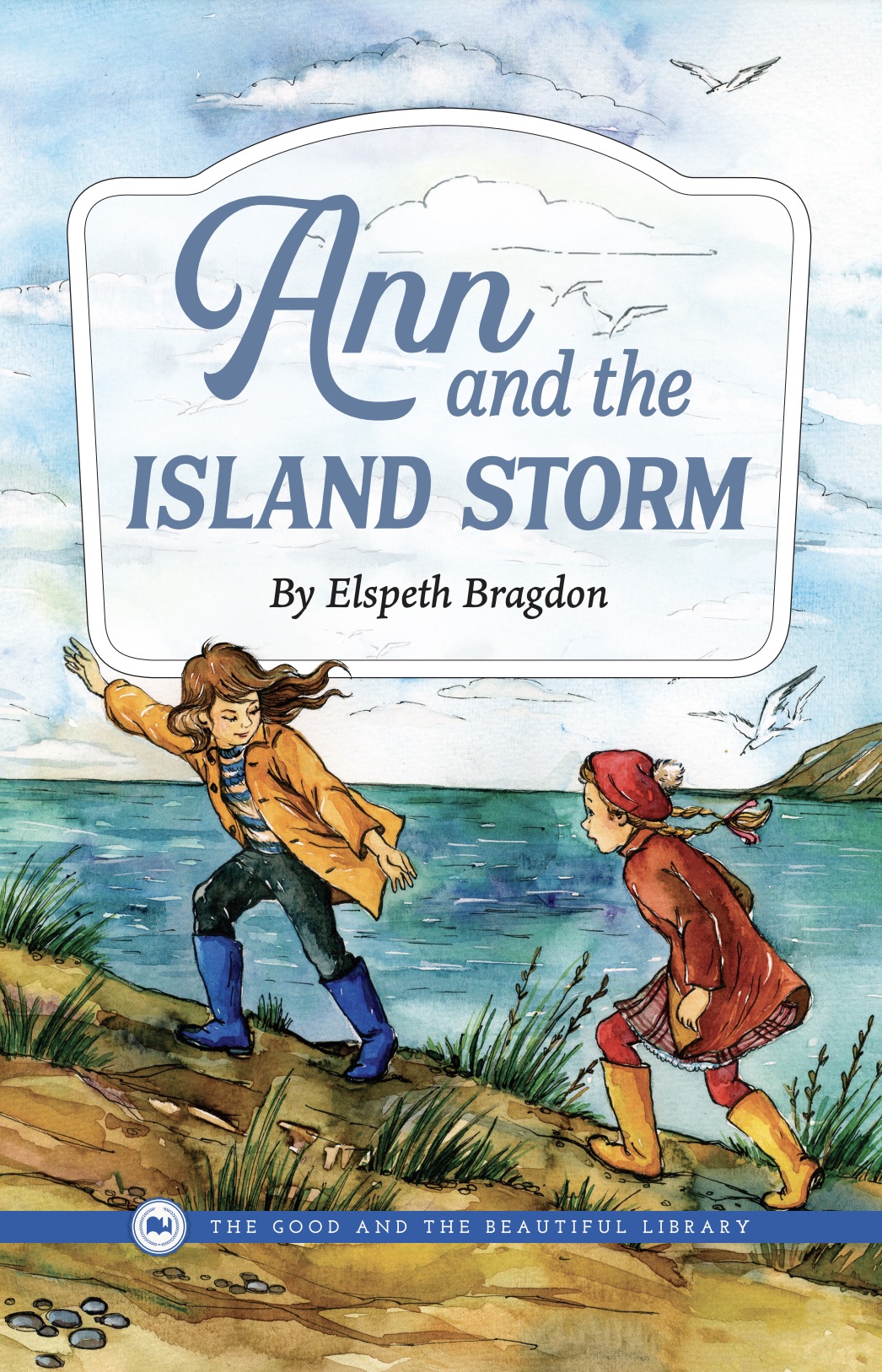 Ann and the Island Storm (Paperback)