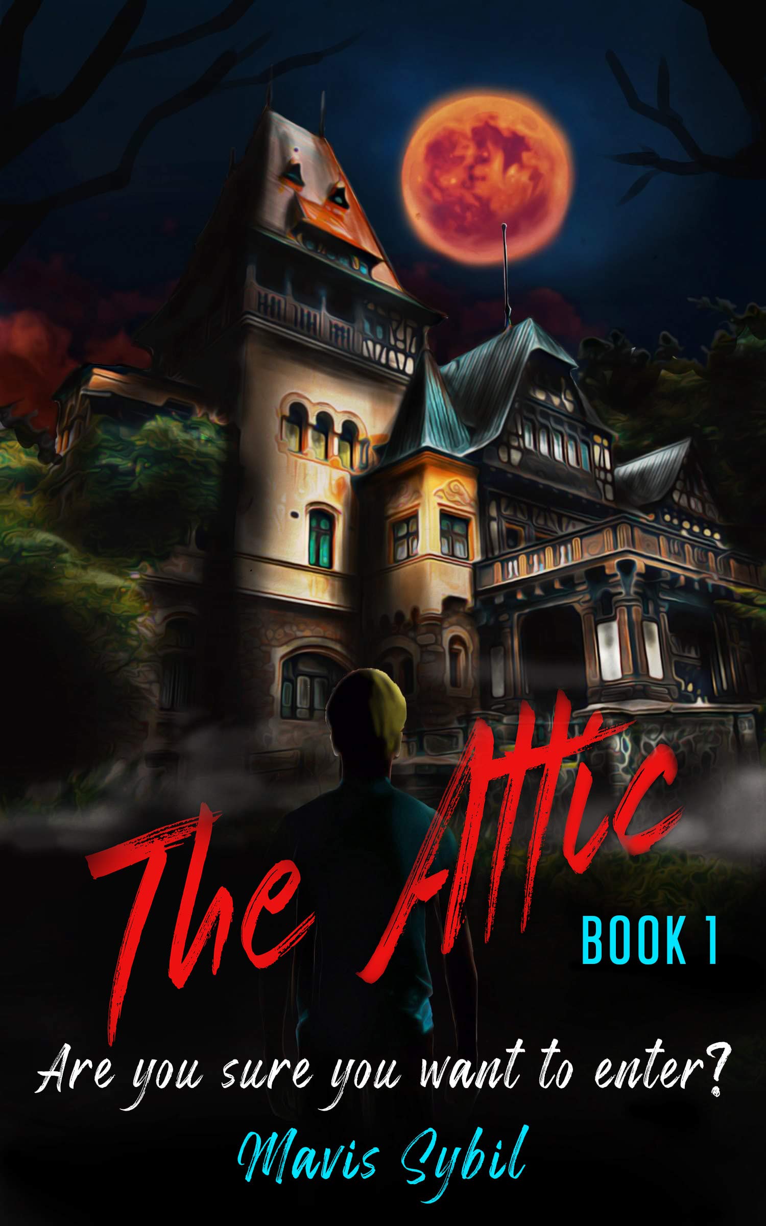 The Attic : Are you sure you want to enter? (Kindle Edition)
