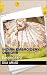 Indian Embroidery designs: ...