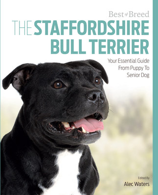 The Staffordshire Bull Terrier: Your Essential Guide from Puppy to Senior Dog