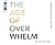 Age of Overwhelm, The: Strategies for the Long Haul