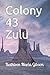 Colony 43 Zulu by Kathleen Maria Gibson