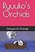 Ryuuko’s Orchids
