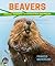 Beavers: Radical Rodents and Ecosystem Engineers (Orca Wild, 6)