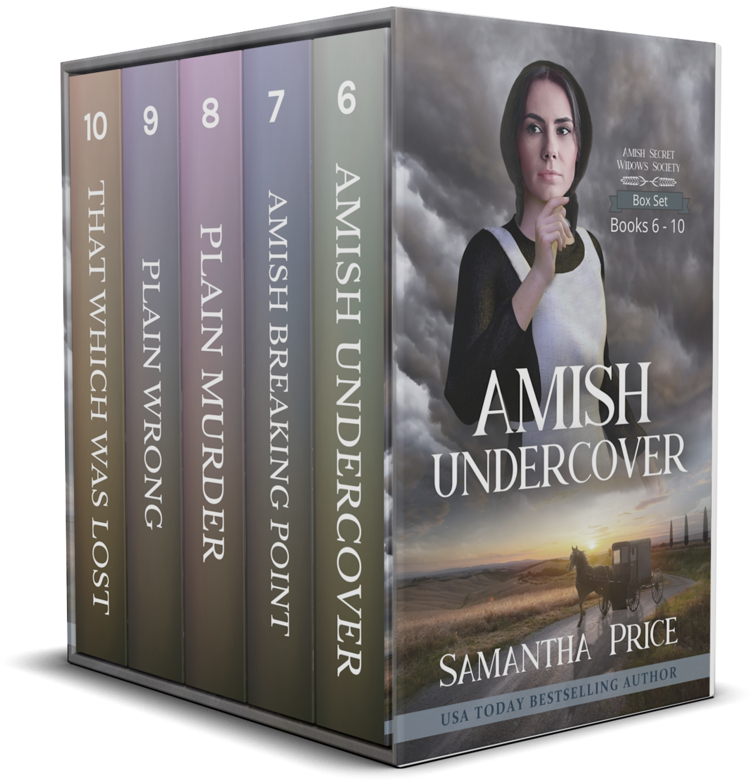 Amish Secret Widows' Society: Books 6 - 10 (Amish Secret Widows' Society #6-10)