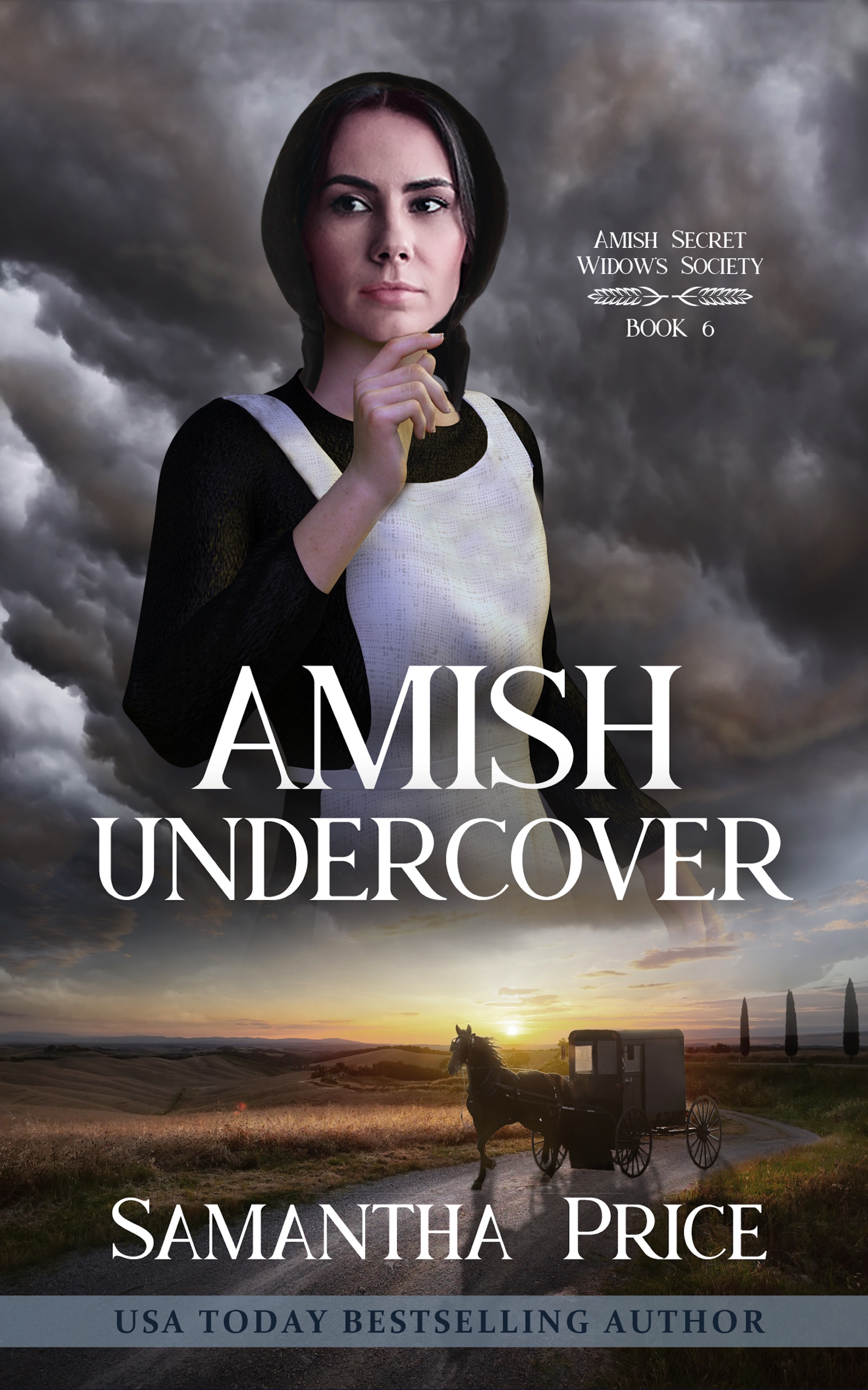 Amish Undercover (Amish Secret Widows' Society, #6)