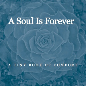 A Soul Is Forever: A Tiny Book of Comfort (Tiny Books #4)