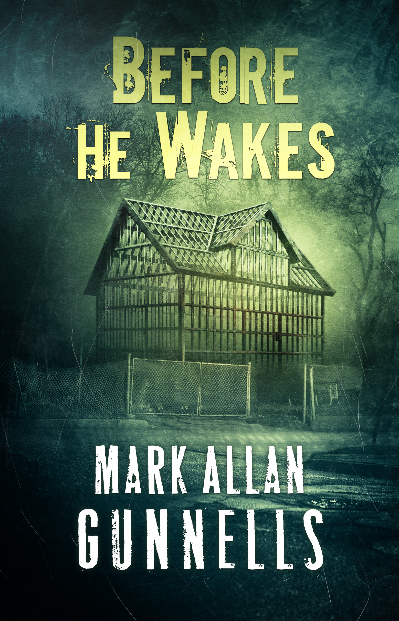 Before He Wakes (Kindle Edition)