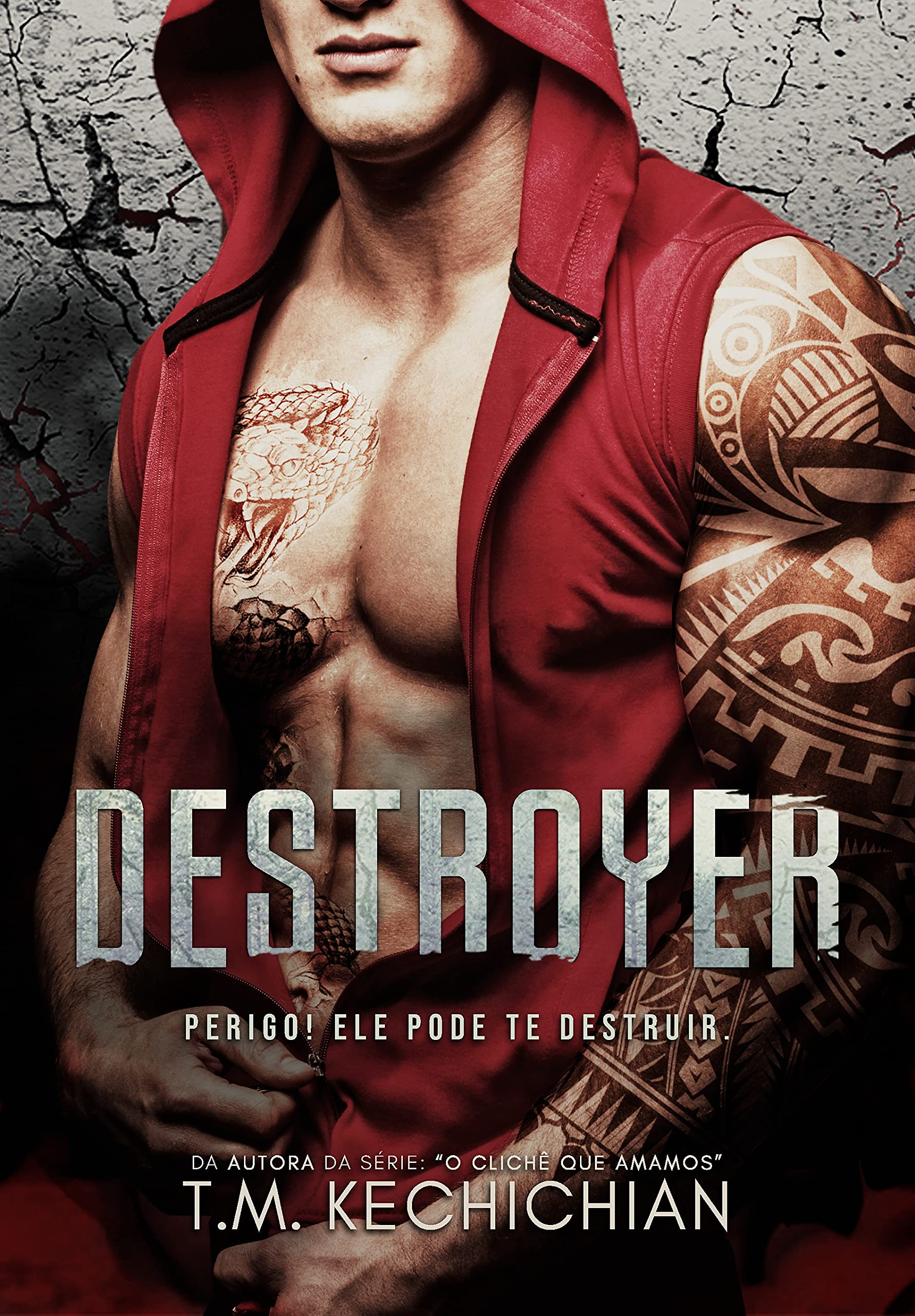 DESTROYER (Portuguese Edition)